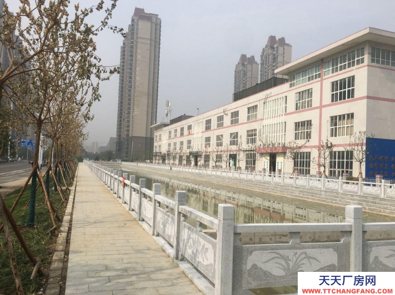 (出租)蚌埠龍子湖東海大道（恒大電影城東側）宏業南路531號