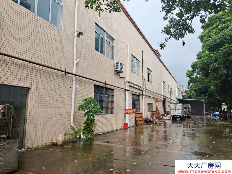 (出租) 東莞低價出租石排新出660平原房東二樓廠房