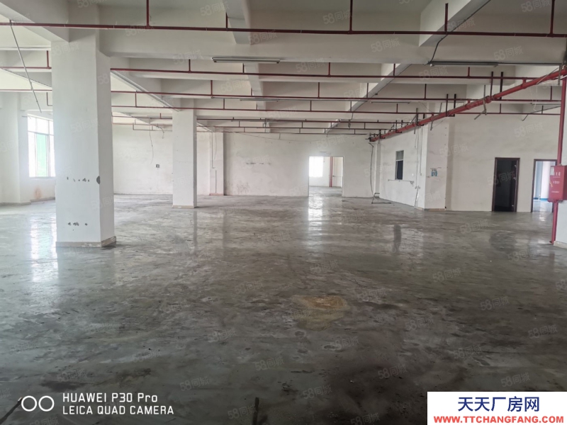 (出租) 東莞鳳崗五聯(lián)園區(qū)廠房出租,高度高,一樓2300平分租