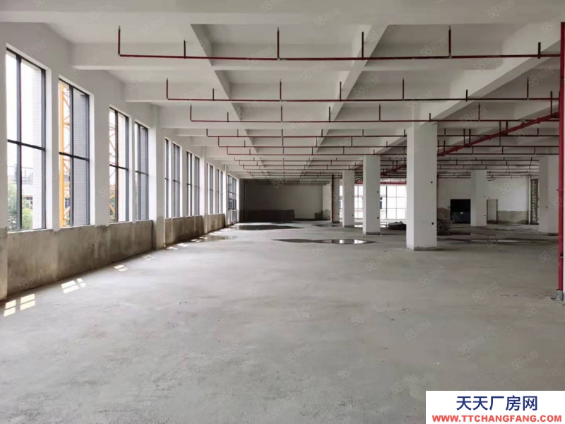 (出租) 東莞鳳崗五聯(lián)園區(qū)廠房出租,高度高,一樓2300平分租