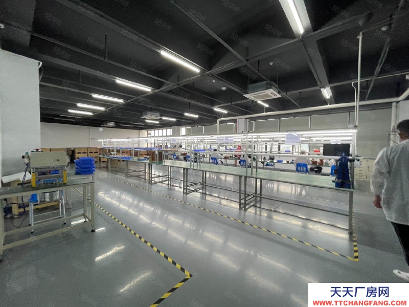 (出租) 原房東直租東莞鳳崗新出樓上2000平豪華裝修辦公室無塵車間