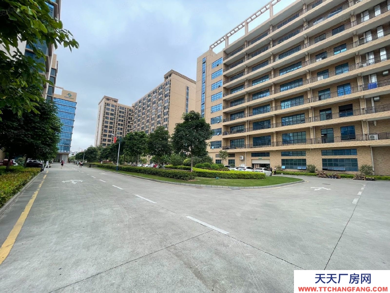 (出租) 原房東直租東莞鳳崗新出樓上2000平豪華裝修辦公室無塵車間