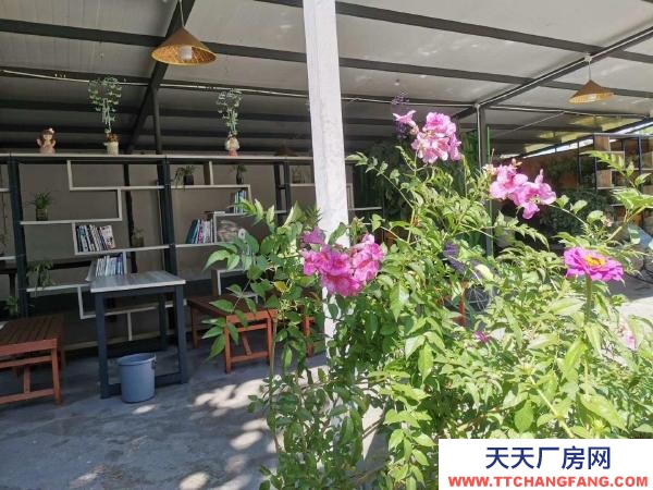 (出租) 可做廠房，倉儲(chǔ)，苗圃，農(nóng)家樂，露天籃球或足球教學(xué)場地