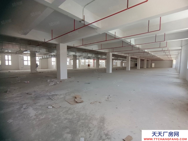 (出租) 可做電池！東莞清溪外環高速出口 4萬平全新紅本倉庫廠房出租 分租