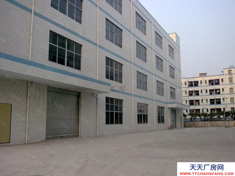 (出租) 東莞低價廠房出租1000平,有環(huán)評,低價5毛,可進掛車,交通好