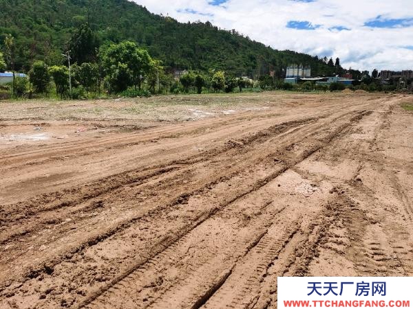 (出租) 紅山完小左邊，10米寬大道，獨立自主，自由使用。