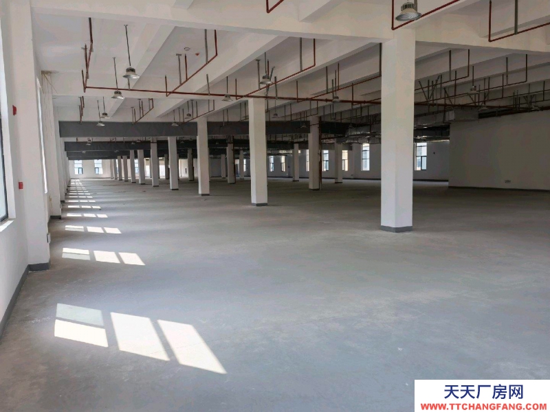 (出租) 蚌埠禹會區一層3000平米兩層六千平米，交通便利，水電齊全