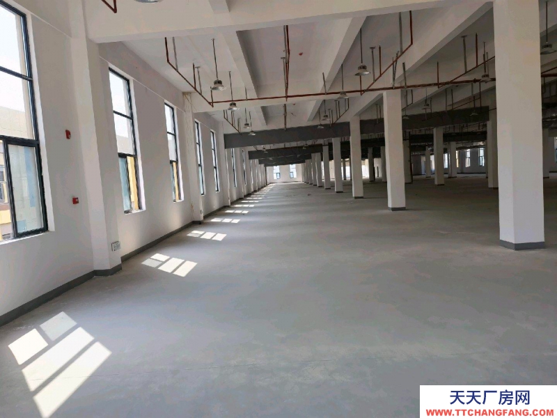 (出租) 蚌埠禹會區一層3000平米兩層六千平米，交通便利，水電齊全