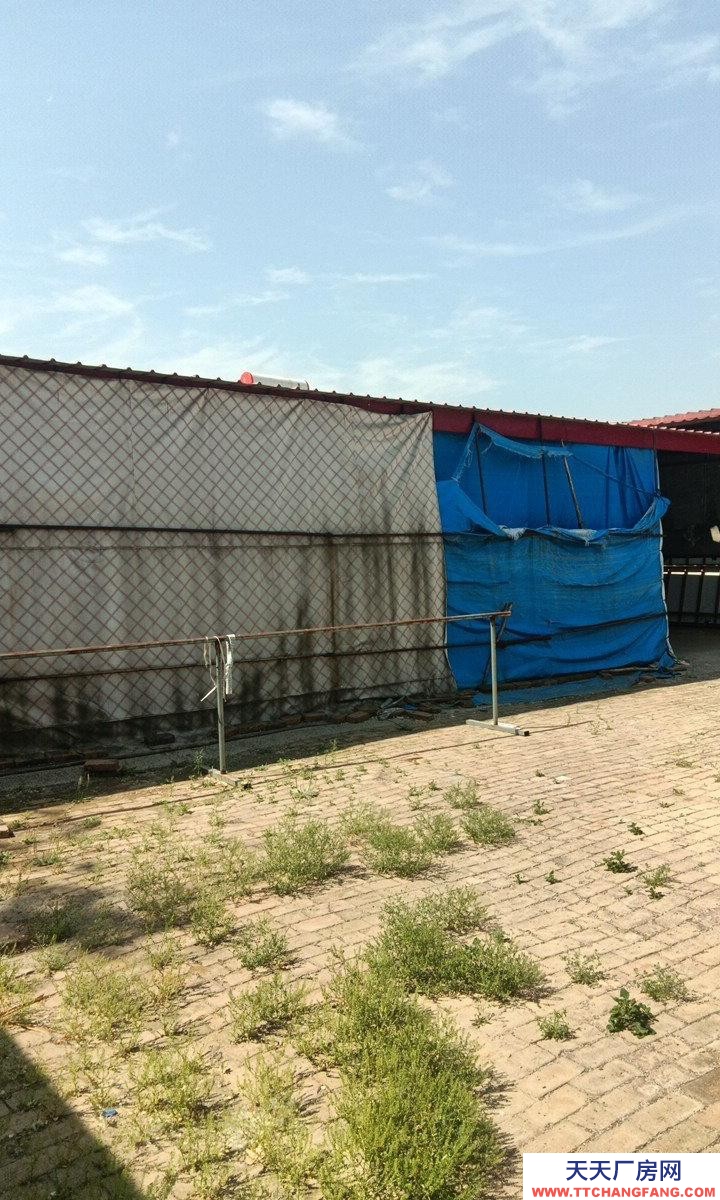 保定 鑫縣  獨門獨院，停車方便，車間，住房，倉庫