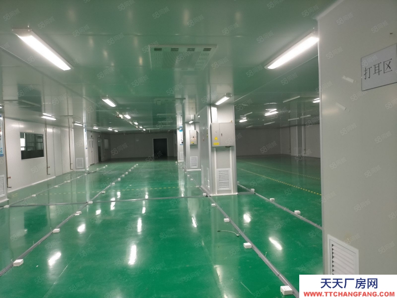 (出租) 東莞大朗原房東工業區獨棟標準廠房豪裝6800平不分租