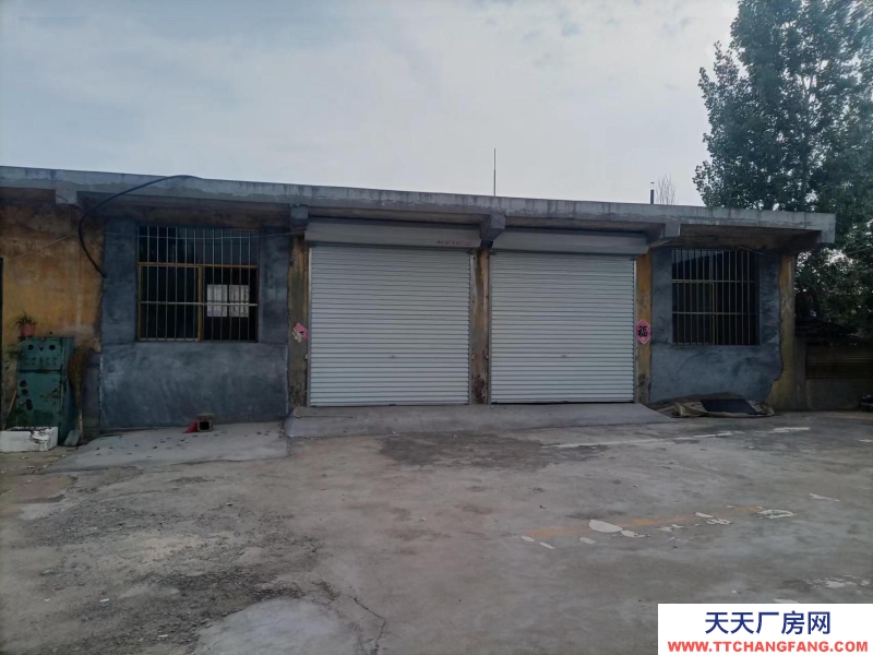 出租薛城城西區域光明西路挪莊村委會北側大院