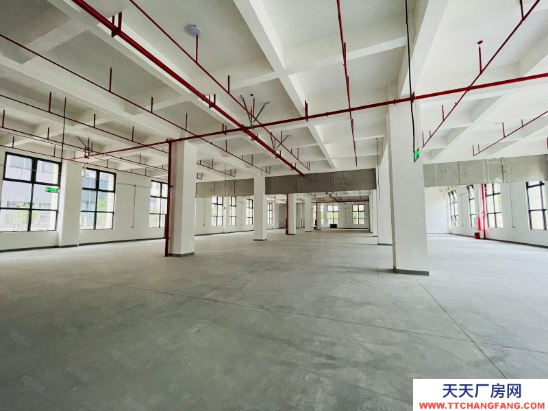 (出租) 東莞鳳崗高端園區35萬平獨棟8000平單層1500平紅本廠房出租