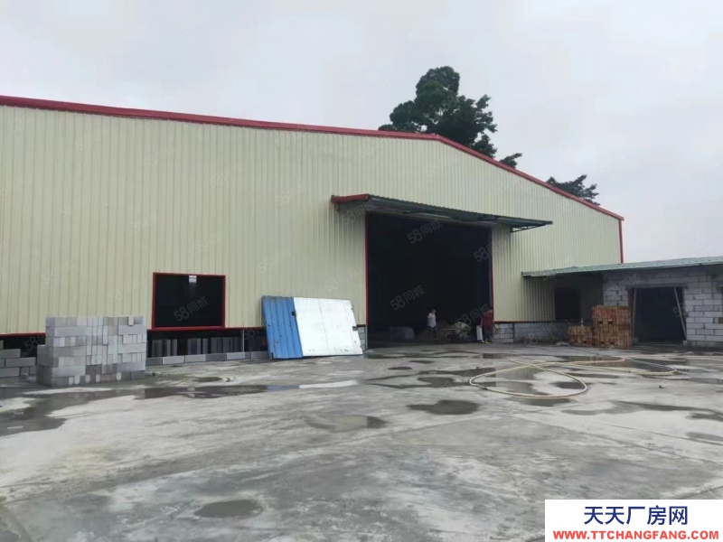 (出租) 東莞廠房招租常平鎮(zhèn)新出單一層1800平方廠房出租超大空地可分租。