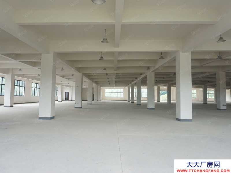 杭州臨安(出租) 板橋新建3000方廠房出租(帶行車)