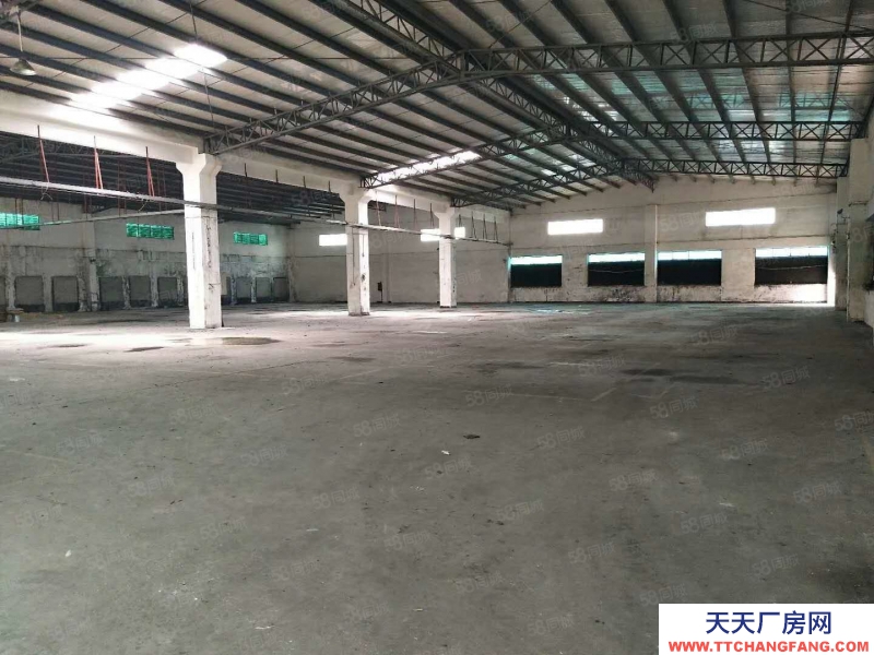 (出租) 東莞東坑 8米高 鋼構(gòu) 廠房出租1500平方,九成新,獨(dú)院