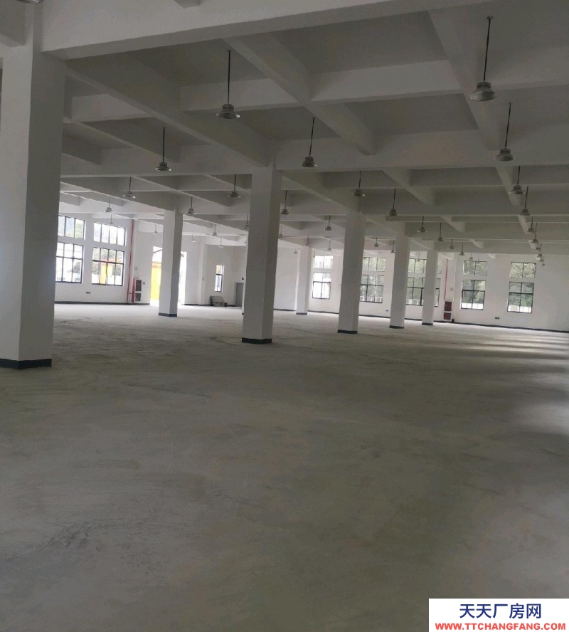 杭州臨安(出租) 兩幢四層廠房，可分開出租