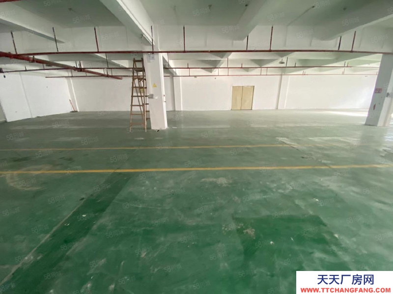 (出租) 東莞厚街工業園區原房東新空出樓上800平帶裝修廠房出租倉庫出租