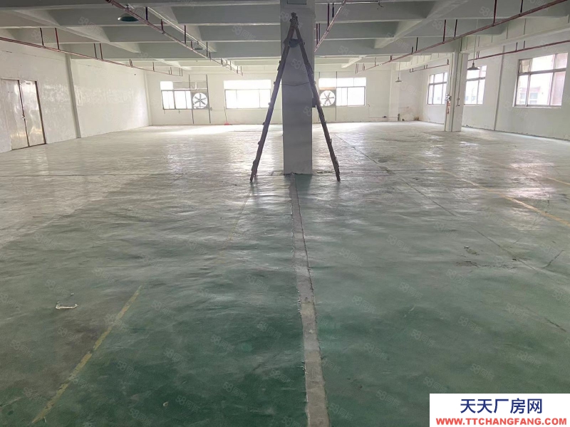 (出租) 東莞道窖新出花園式獨門獨院6800平 滴水11米 帶行車超大空地