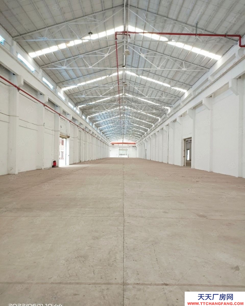 (出租) 東莞道窖新出花園式獨門獨院6800平 滴水11米 帶行車超大空地