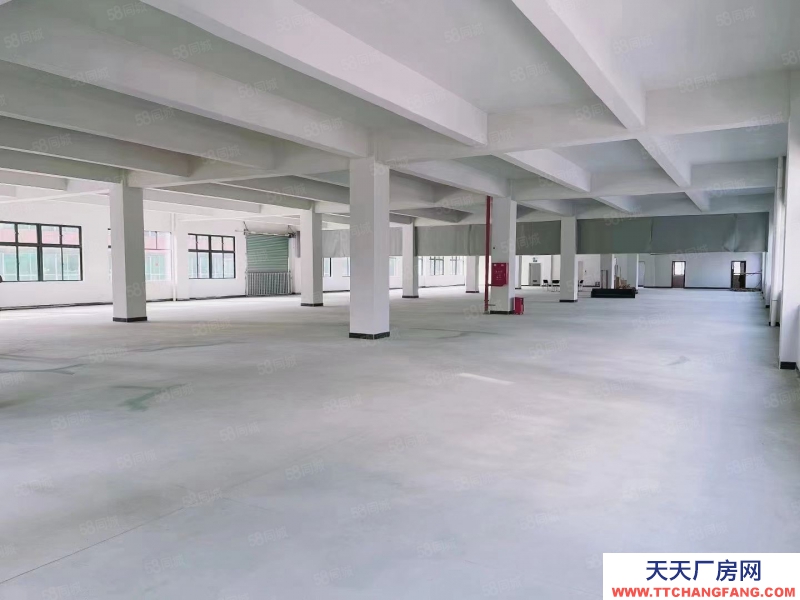 (出租) 東莞市樟木頭樟洋全新廠房高速路口標準10萬平廠房出租