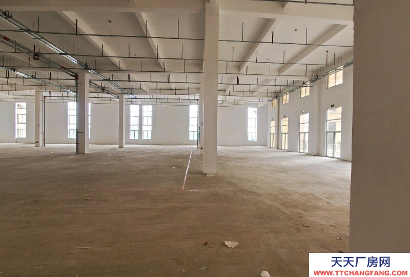 (出租) 蚌埠禹會區家博城20000平方大型廠房出租