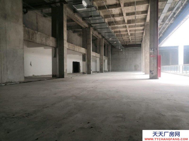 (出租) 蚌埠禹會區居然之家閑置攤位