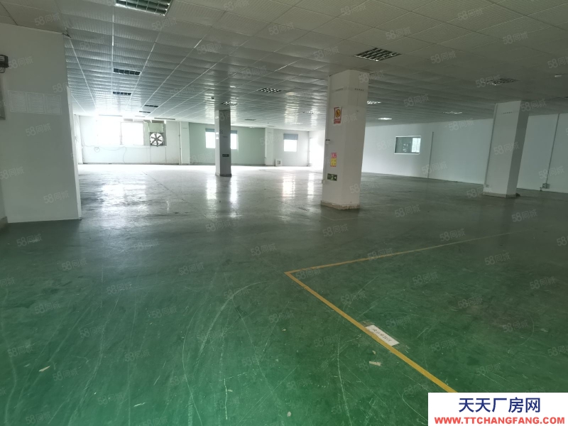 (出租) 東莞獨立廠房520平,860平,1700平等各種規格,形象高大上