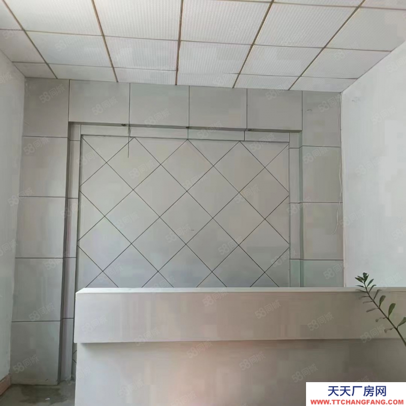 (出租) 東莞獨(dú)院廠房出租,長(zhǎng)安鎮(zhèn)宵邊全新小獨(dú)院3層4000平帶地坪漆廠房