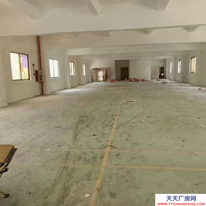 (出租) 東莞獨(dú)院廠房出租,長(zhǎng)安鎮(zhèn)宵邊全新小獨(dú)院3層4000平帶地坪漆廠房