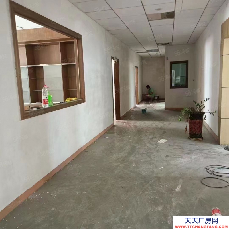 (出租) 東莞獨(dú)院廠房出租,長(zhǎng)安鎮(zhèn)宵邊全新小獨(dú)院3層4000平帶地坪漆廠房