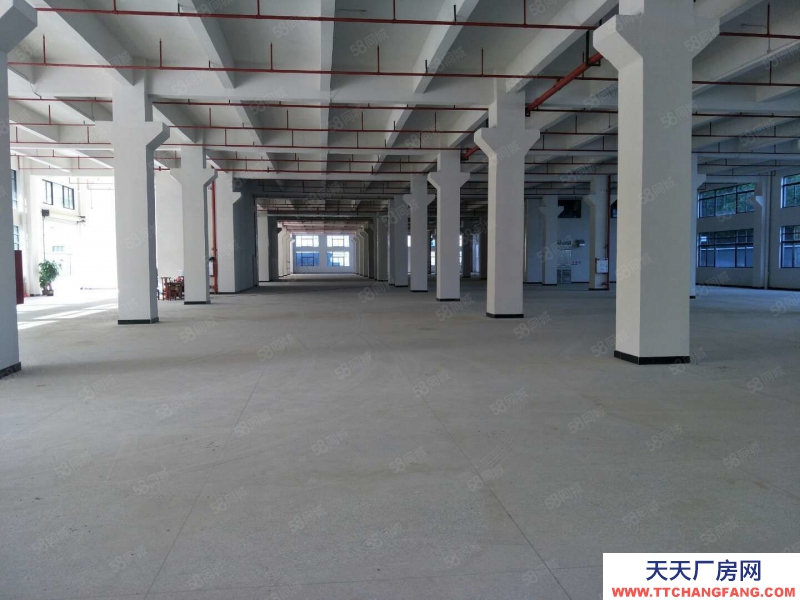 (出租) 東莞茶山鎮環保產業園廠房出租，總面積48000平方