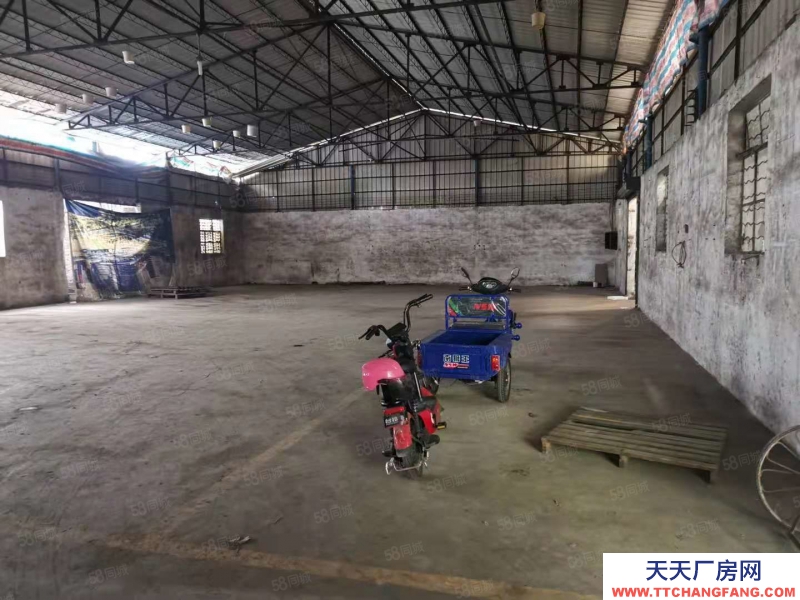 (出租) 東莞麻涌獨門獨院廠房倉庫低價出租交通便利