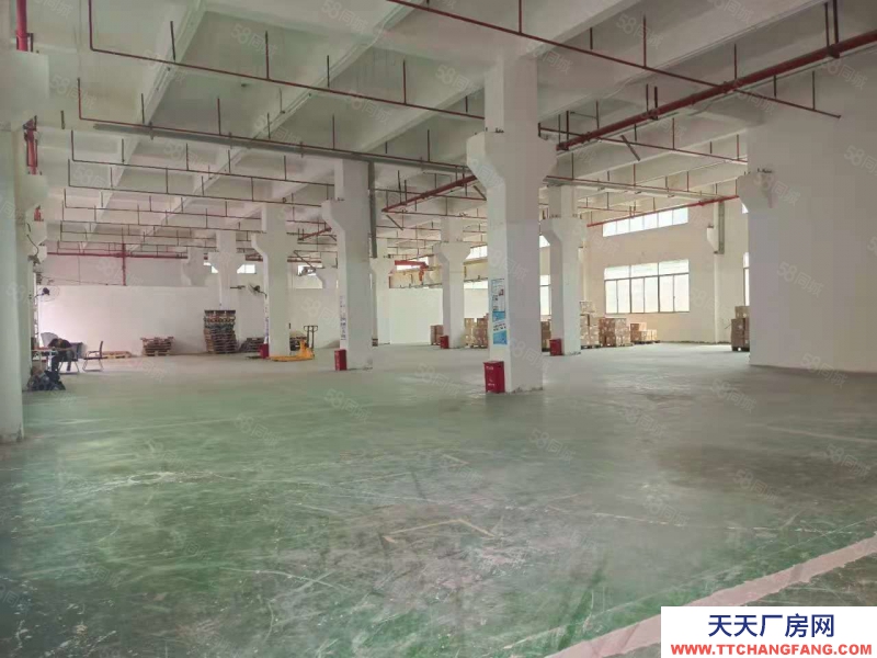 (出售) 東莞長安宵邊新出6000平廠房出售帶工業紅本股權過戶