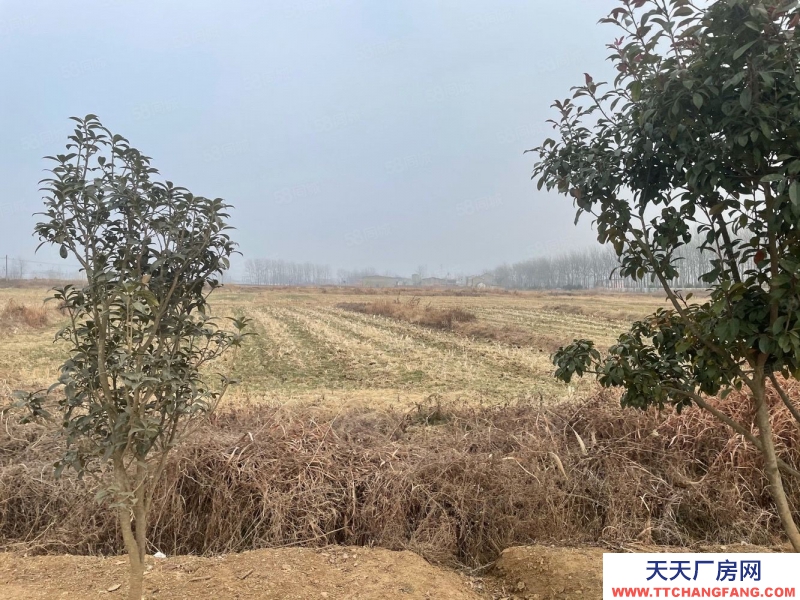 (出售) 蚌埠淮上沫河口工業(yè)園 285畝土地 50000平方廠房 主路邊上