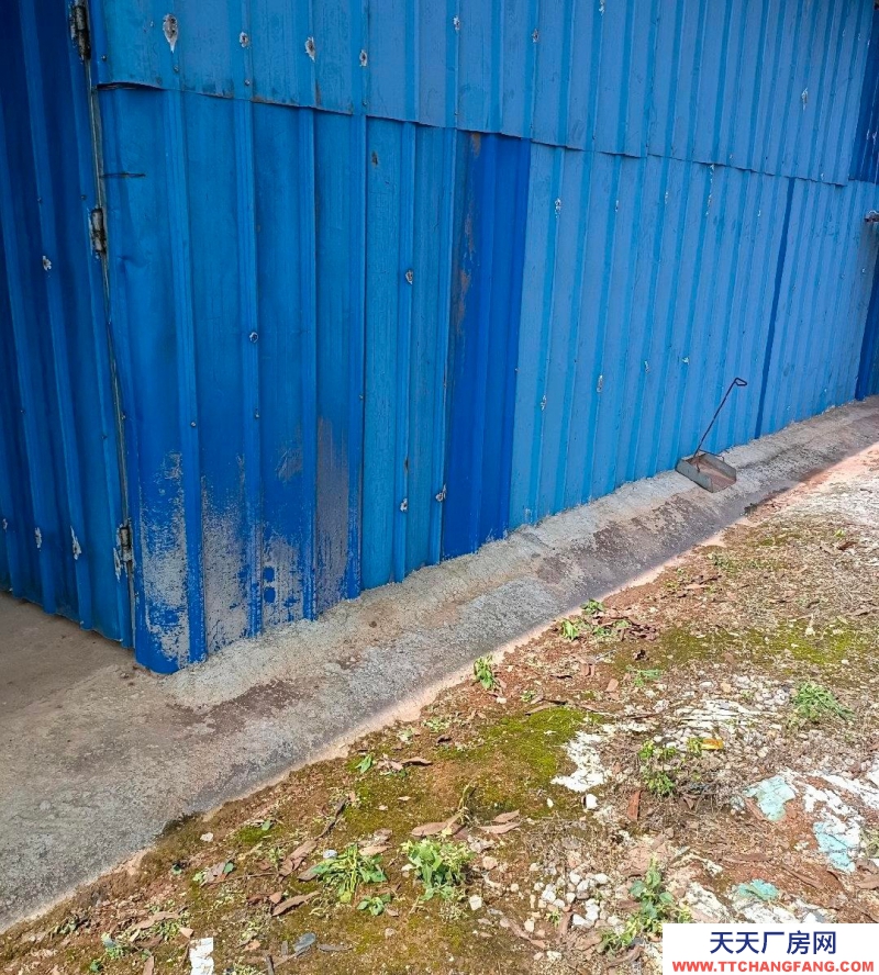 南寧市西鄉(xiāng)塘區(qū)(出租)  自家建設廁所