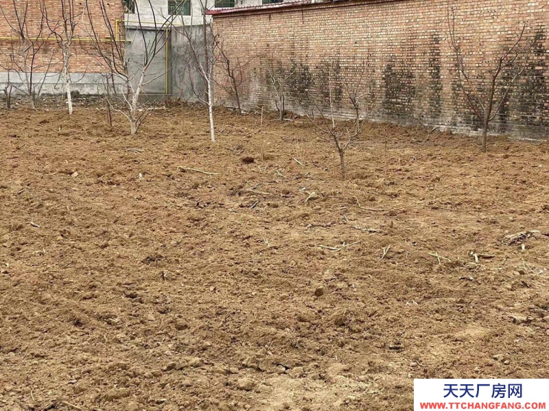 保定 容城  固城固德引線旁邊，東鄰107，西鄰辛木高速