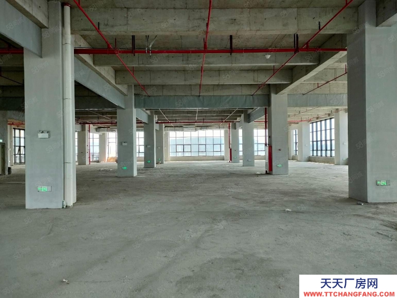 (出售) 東莞道滘紅本廠房出售標準層2000平800平起售50年產(chǎn)權(quán)