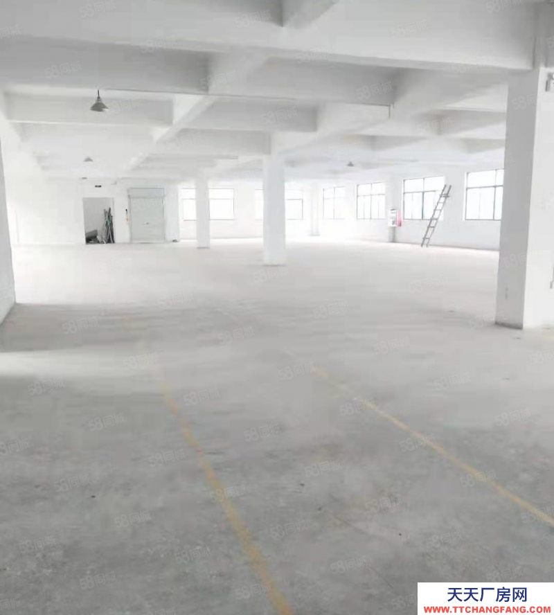 (出租) 蚌埠淮上區龍興路308號新廠房招租 城市快迅免費介紹