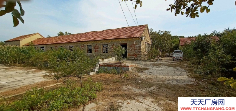 棗莊嶧城瓦房30余間低價出租