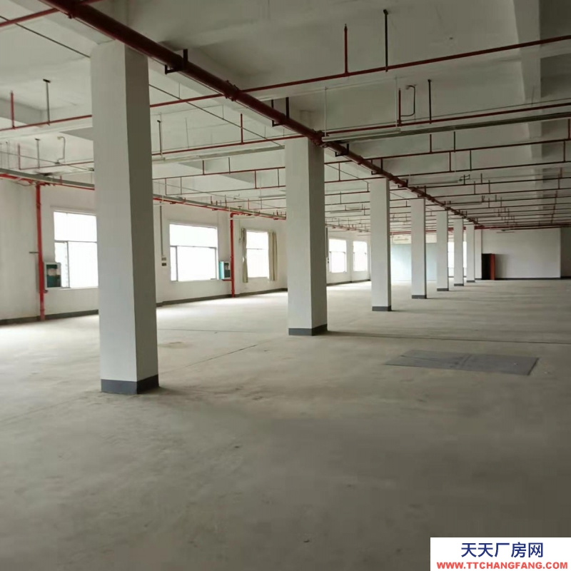 南寧市西鄉塘區(出租) 高新區標準廠房、倉庫出租，大車出入方便，交通便利