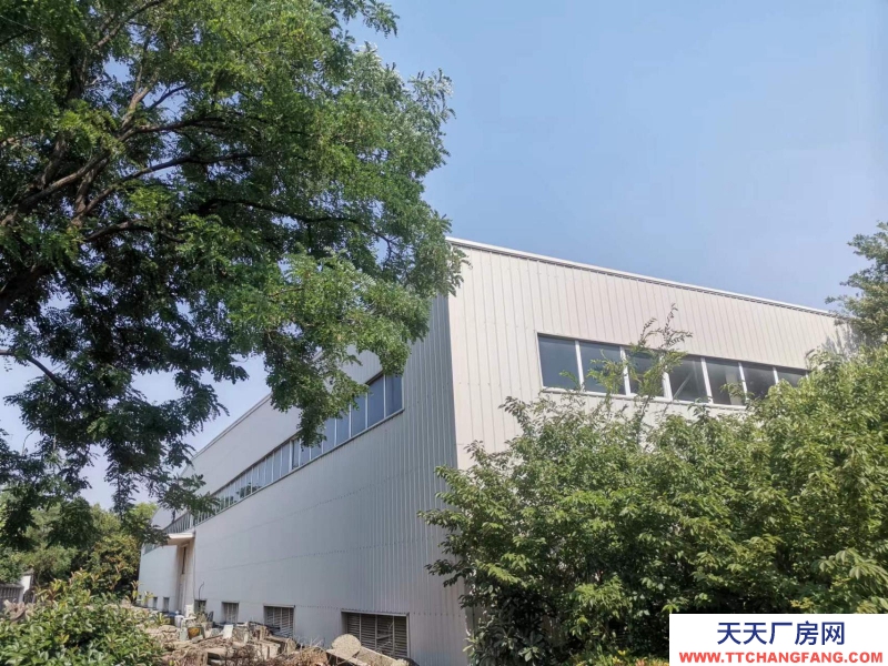 (出租)蚌埠淮上 出租倉庫（衛食園院內）