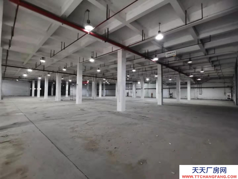 (出租) 蚌埠淮上徽商物流園有倉庫對外出租,有月臺,適用于倉儲、快遞快運分撥