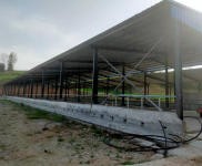 (出租)襄陽老河口 袁莊二組大型養牛場出租