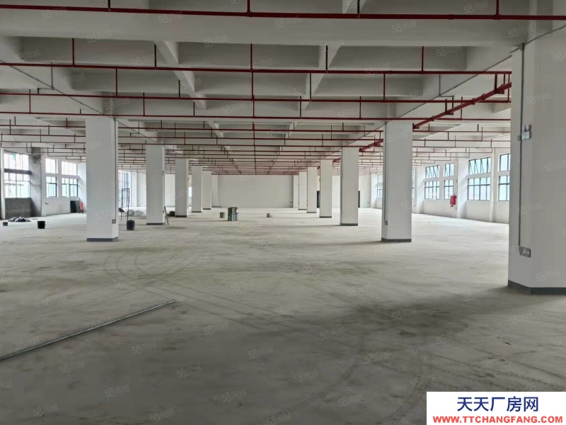(出售) 東莞低價出售石排鎮(zhèn)新出全新標準廠房1000平方起售，無稅收要求