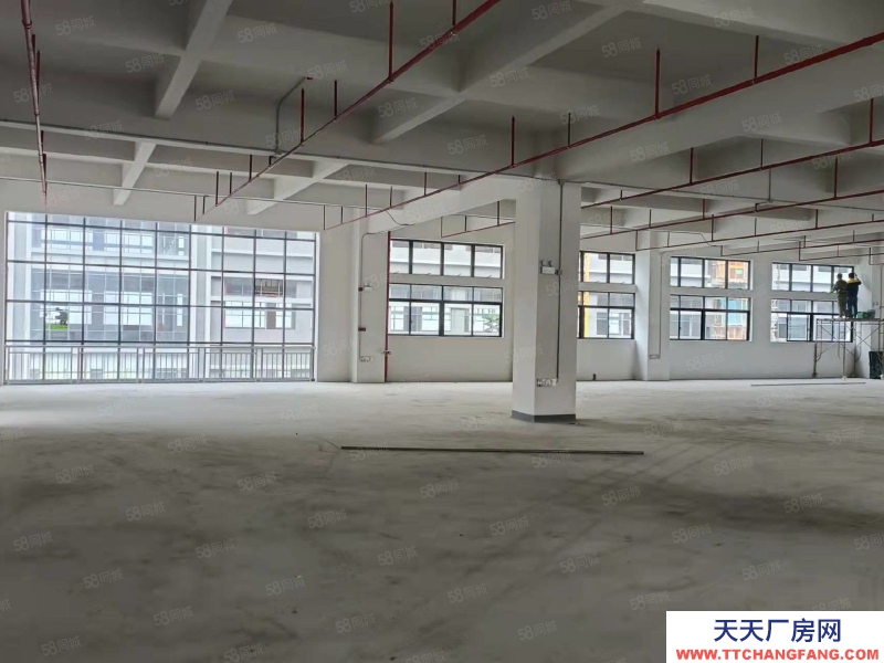(出售) 東莞低價出售石排鎮新出全新標準廠房1000平方起售，無稅收要求