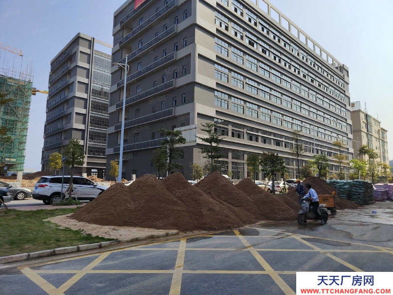 (出售) 東莞低價出售石排鎮新出全新標準廠房1000平方起售，無稅收要求