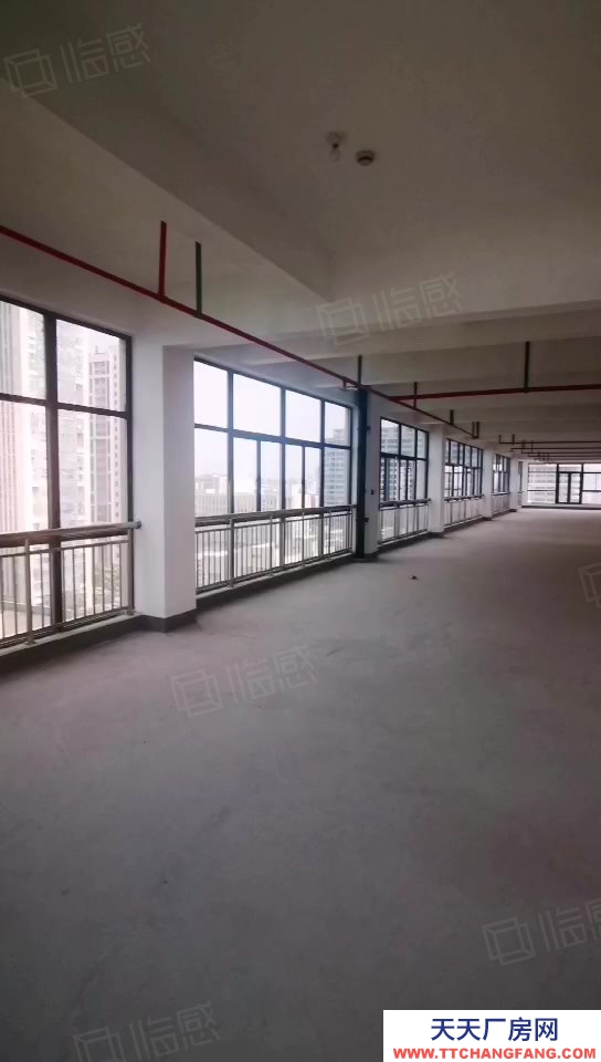 杭州臨安(出售) （直售）臨平獨立 無行業限制 現房 隨時可看