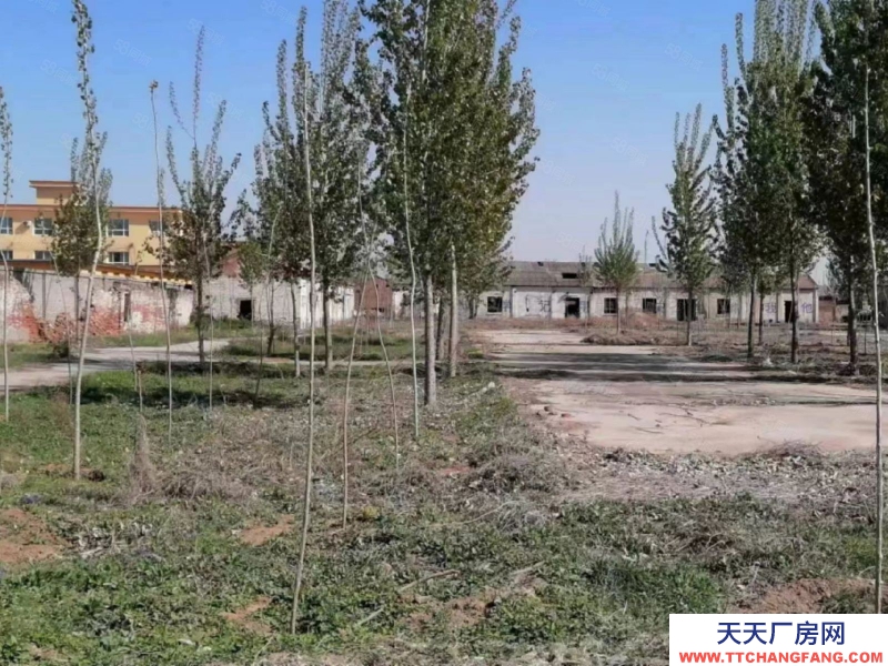 保定 順平 15000平廠區(qū)各種手續(xù)齊全出租出售合作多種形式