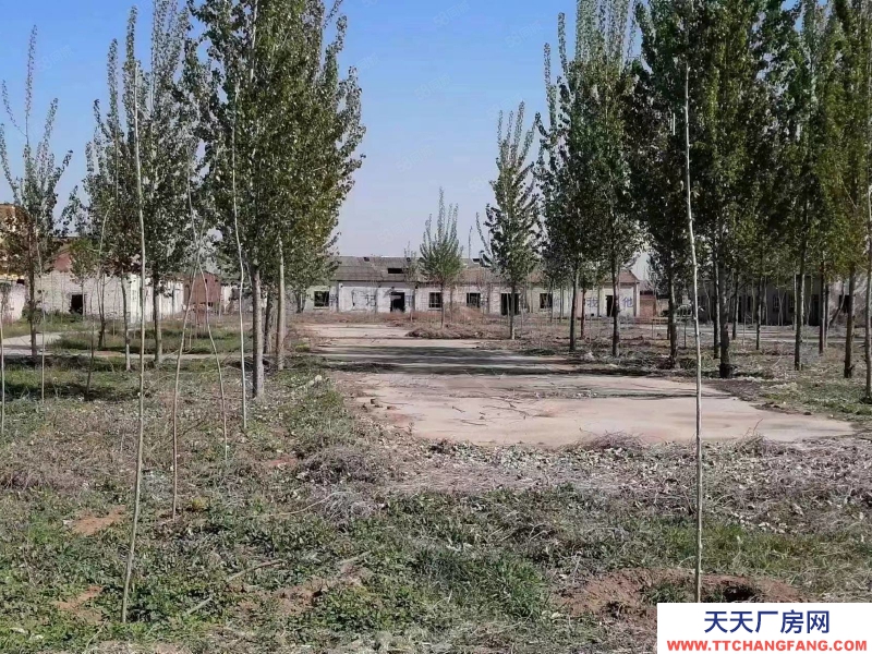 保定 順平 15000平廠區(qū)各種手續(xù)齊全出租出售合作多種形式