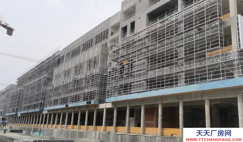 杭州臨安(出售) 首付3層起 生物醫藥gmp標準生產廠房 產權清晰